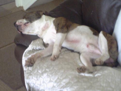 pict1074jpg_4078510975_o