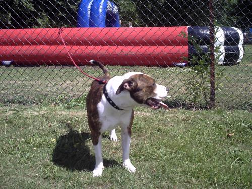 pict1536jpg_4077958027_o