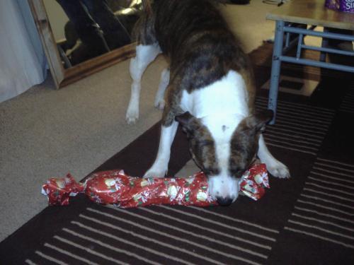 pict0924jpg_4078465857_o